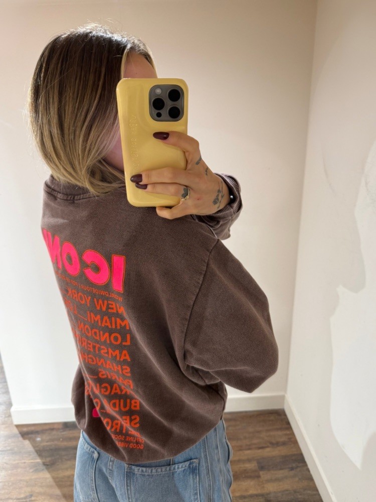 Pull iconic unisexe - French retailers
